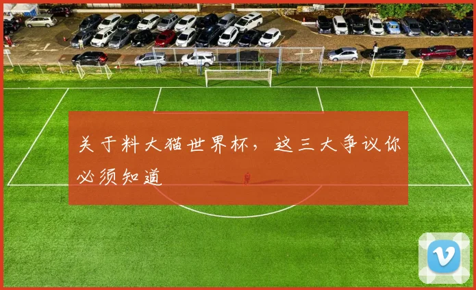 关于料大猫世界杯，这三大争议你必须知道
