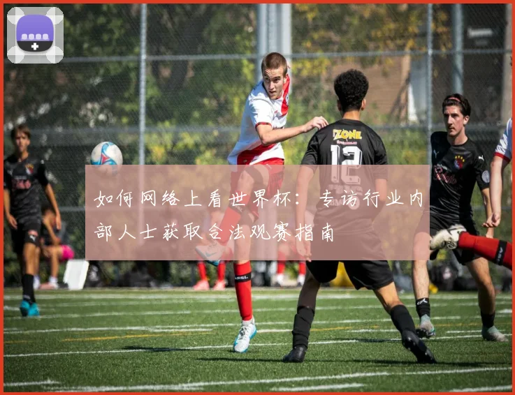 如何网络上看世界杯:专访行业内部人士获取合法观赛指南
