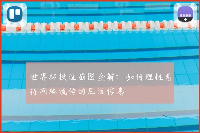 世界杯投注截图全解:如何理性看待网络流传的压注信息
