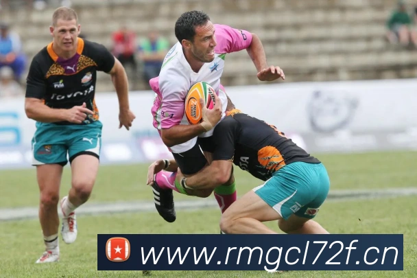 数据防护可视化